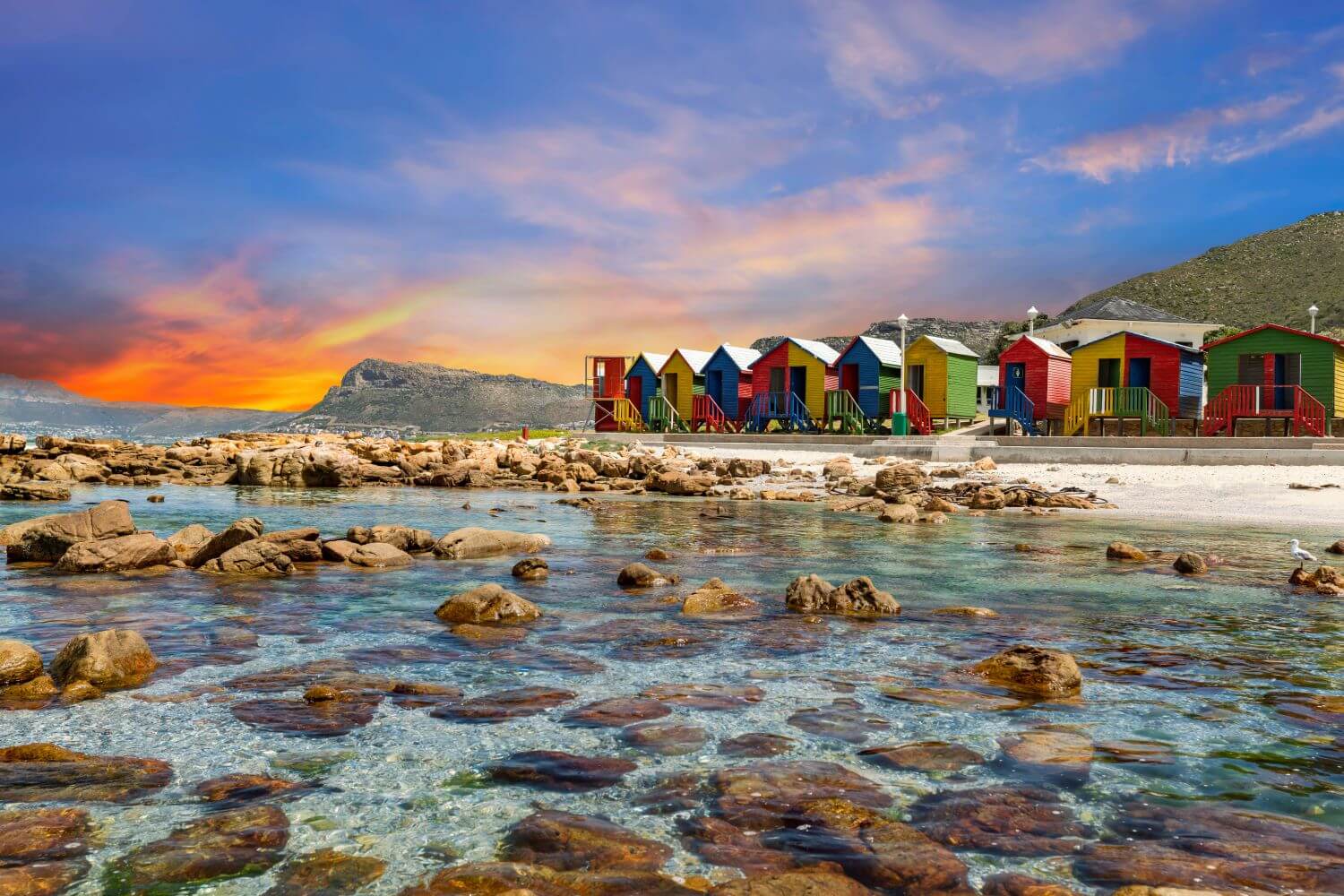 Introduction slide #3